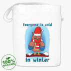 С улицы совушку взяли мы домой!