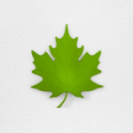 Кленовый лист