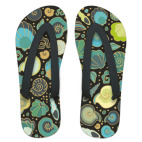 Морские ракушки