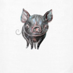 Маленький чёрный поросенок