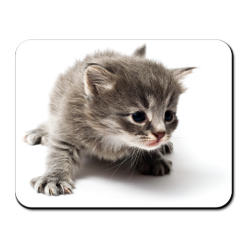 Коврик для мыши с принтом Любопытный котенок