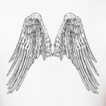  Крылья