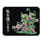 Мухоловка и пчела