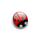  Ladybird