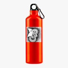 Металлическая бутылка 700 мл UV-DTF