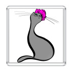 Важная КошкА