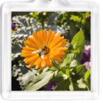 Пчела на цветке