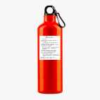 Металлическая бутылка 700 мл UV-DTF