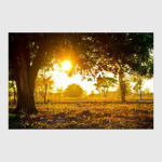 Фото природы