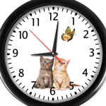 Котята и бабочка