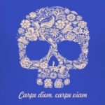 Carpe diem, carpe viam