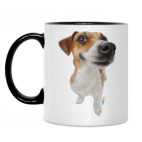 Кружка двухцветная