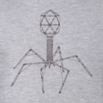 Вирус бактериофаг