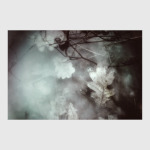 Морозная осень