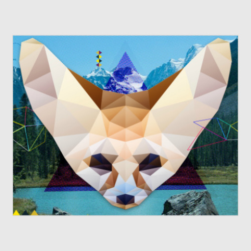 Постер с принтом Фенек