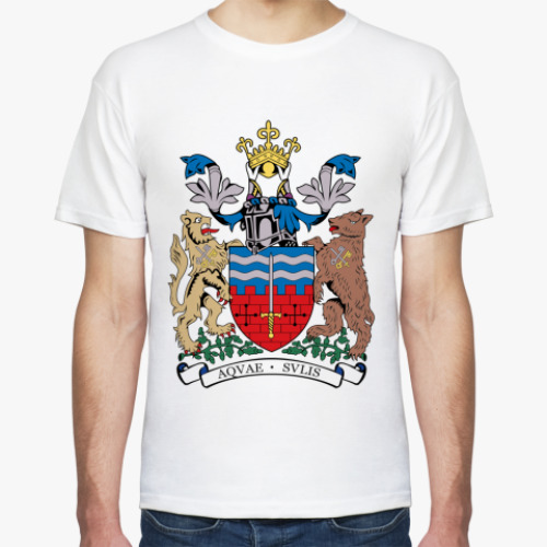 Футболка с принтом Герб города Бат