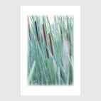 Космический камыш