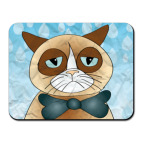  Кот и дождь