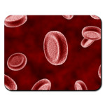  Эритроциты