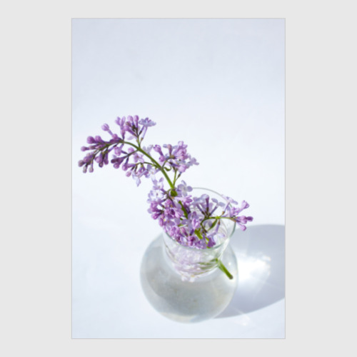 Постер с принтом Сирень в вазе