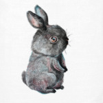 Маленький чёрный кролик