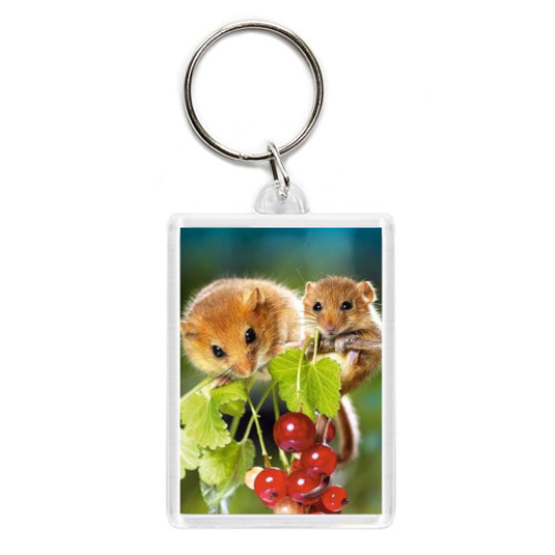 Брелок с принтом Хомячки