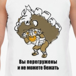 'Вы перегружены'