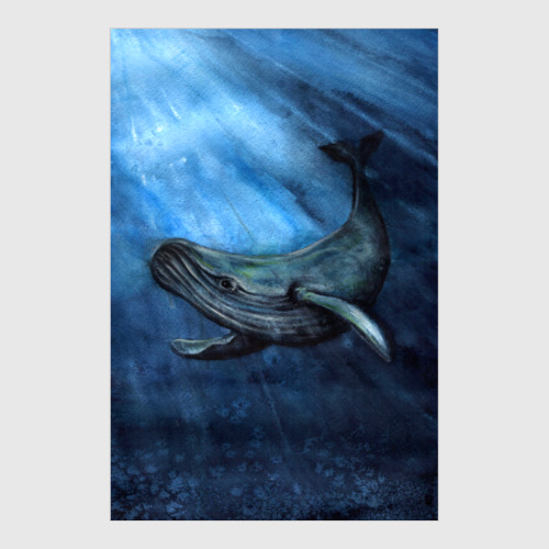 Постер с принтом Кит акварелью