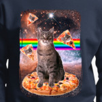 Космический кот