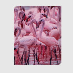 Flamingos of Bogoria Lake