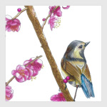 Серия: птицы