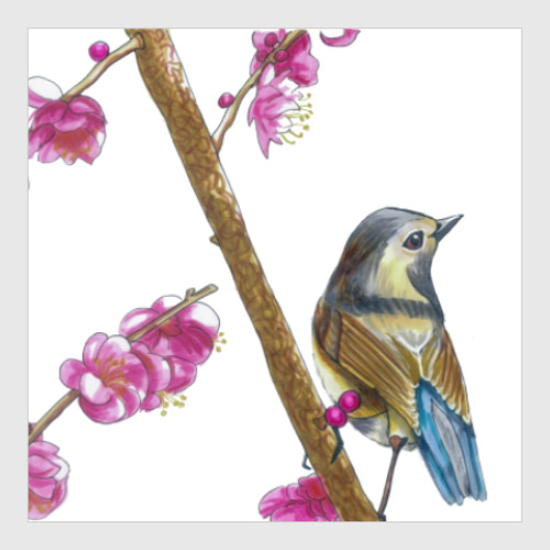 Постер с принтом Серия: птицы