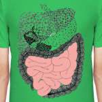 Пищеварительная система