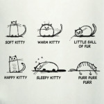 Песенка Шелдона