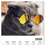 Кот-хитпстер