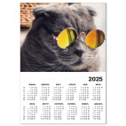 Кот-хитпстер