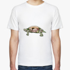 Внутренности черепахи