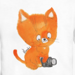 рыжий котенок