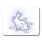 Заяц в шоке