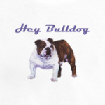  Hey Bulldog