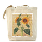 Подсолнух Heliantus annuus