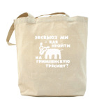 Холщовая сумка