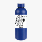 Термобутылка