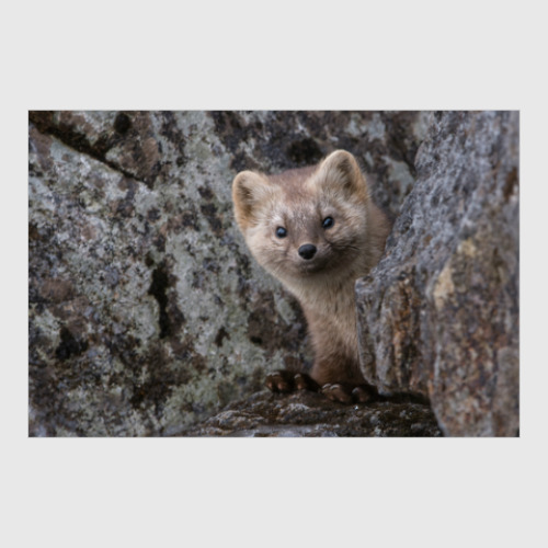 Постер с принтом Этот удивительный мир