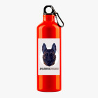 Металлическая бутылка 700 мл UV-DTF