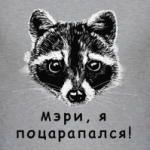 Енот - Мэри, я поцарапался!