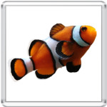  Рыба-клоун