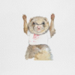 Хорек-спортсмен