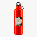 Металлическая бутылка 700 мл UV-DTF