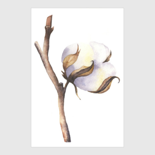 Постер с принтом Хлопок